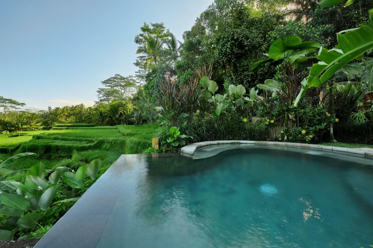 Villa Kembang Bali Ubud Екстериор снимка
